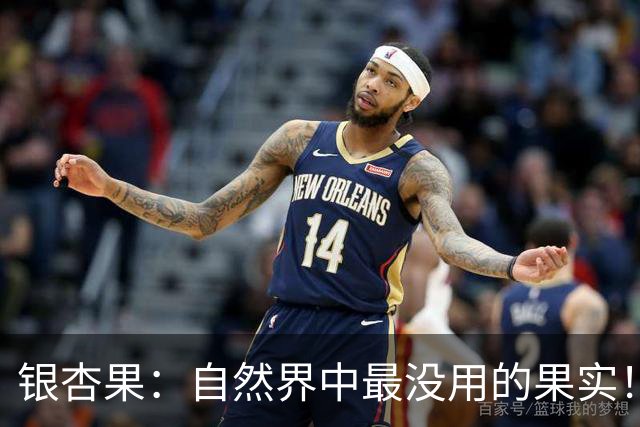 银杏果：自然界中最没用的果实！结果再多也一样沦为保护植物