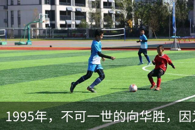 1995年，不可一世的向华胜，因为一根烟，把独宠9年的张敏让给汪雨